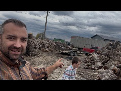 Видео: Новый источник дров 🪵 🙌 Благословенный еще один день