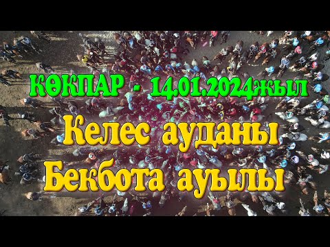 Видео: Келес ауданы Бекбота ауылы Алтайовтар әулеті Мұхтар мырзаның елден бата алу той көкпары 14.01.2024ж