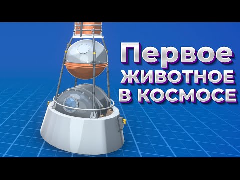 Видео: ПЕРВОЕ ЖИВОТНОЕ В КОСМОСЕ ( Mars Horizon )