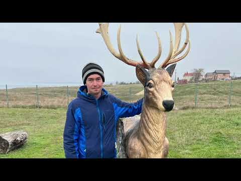 Видео: Атамань в Тамани