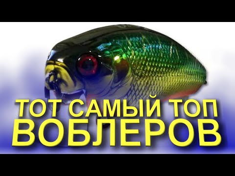 Видео: ТОП ВОБЛЕРОВ НА ЩУКУ И ОКУНЯ 2022. РЫБАЛКА НА СПИННИНГ. ТВИЧИНГ ВОБЛЕРОВ