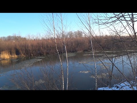 Видео: На бічний кивок