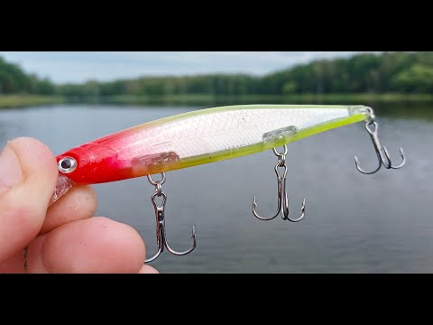 Видео: НАШЁЛ ВОБЛЕР КОТОРЫЙ КОСИТ ЩУКУ у ДНА. Рыбалка на спиннинг в августе 2023
