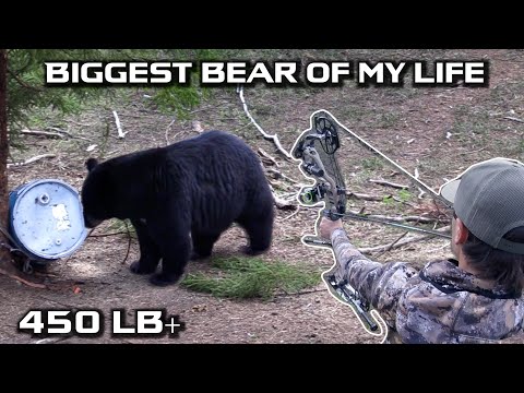 Видео: САМЫЙ БОЛЬШОЙ МЕДВЕДЬ, НА КОТОРОГО МЫ КОГДА-ЛИБО ОХОТАЛИСЬ | Alberta Black Bear Bowhunt