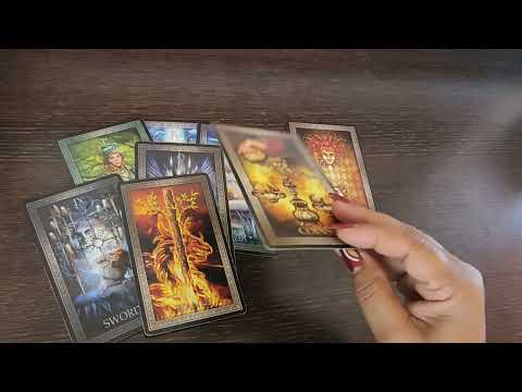 Видео: На къде е днес с главната 😜на къде го видят мислите🤔🧹