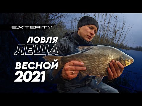 Видео: Ловля леща весной на фидер.