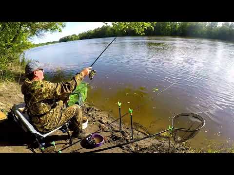 Видео: Суточная рыбалка на дону