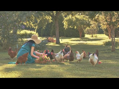 Видео: Мой прекрасный летний сад 🧺 сельская дача и летняя кулинария