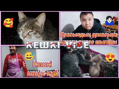 Видео: КЕШКІ VIBE(Вайб)Кешкі қызықтар)Araika Тіркелуді ✅ ұмытпа 😍😅🥰🤷🏻‍♀️