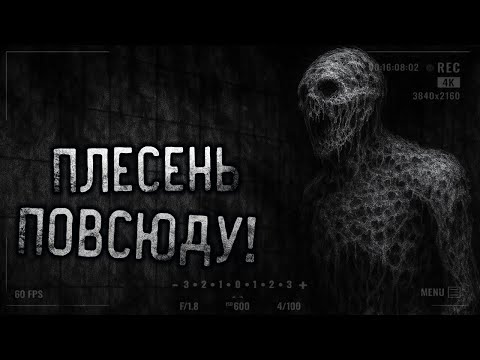 Видео: ПЛЕСЕНЬ ПОВСЮДУ! Страшные истории на ночь. Страшилки на ночь.