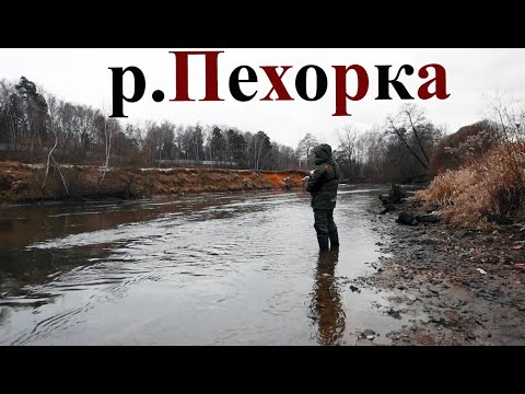 Видео: Рыбалка зимой на спиннинг. Зимний спиннинг в Январе. Ловля в Подмосковье на реке Пехорка 2020.