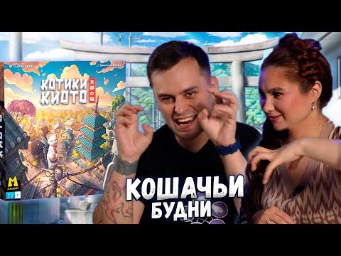 Видео: 🐈 Милые японские КОТИКИ! | Настольная игра КОТИКИ КИОТО