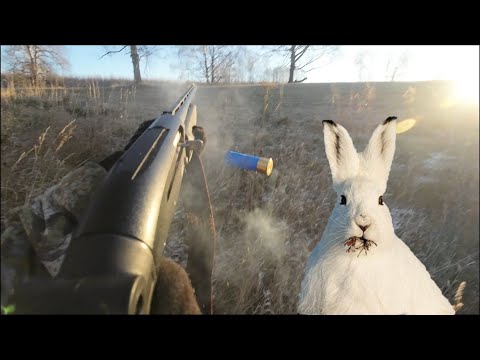 Видео: ОХОТА НА ЗАЙЦА | И КТО ЖЕ ТУТ КОСОЙ!? БЕЗ ДОБЫЧИ НЕ ОСТАЛСЯ | МР-155