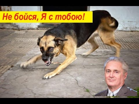 Видео: Не бойся, Я с тобою!