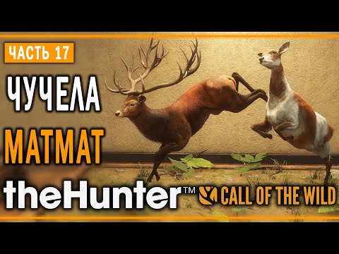 Видео: theHunter Call of the Wild #17 🦌 - Бегство - Кoмпозиции из Чучeл