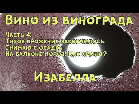 Видео: Вино из винограда Изабелла (ч.4)