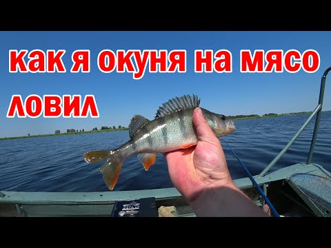 Видео: Ловля окуня на удочки. Рыбалка с лодки. Попал на жор хищника! Видео 2020.