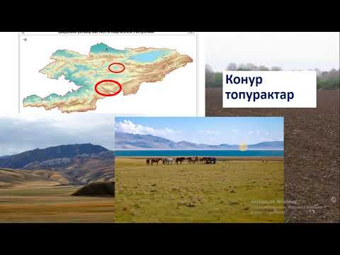 Видео: Кыргызстандын топурактары