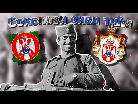 Видео: "Соколови сиви 'тићи" -  Chetnik Song