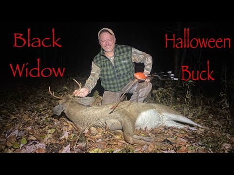 Видео: ЧЁРНАЯ ВДОВА ХЭЛЛОУИНСКИЙ БАК! 40-фунтовый PLX ДЛИННЫЙ ЛУК!