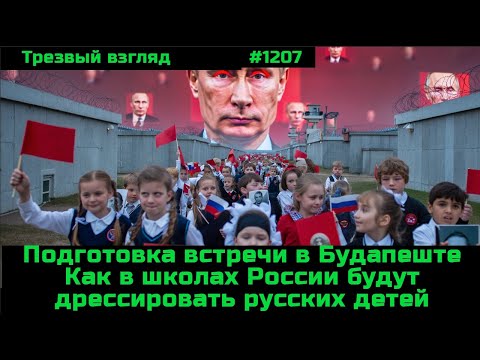 Видео: Будапешт. Вологодский эксперимент.  Школа на всю жизнь.