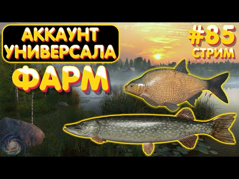 Видео: ФАРМ - Острог 🔥 Лещ + Щука 🔥 Аккаунт универсала #85 стрим 🎁 Бокс с премом на TROVO 🎁 рр4 #1127