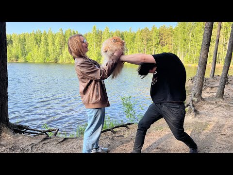 Видео: Таффка-байкерша! День Рождения Артема, шум-гам на даче 🐕🐈🐕🐈‍⬛🐶