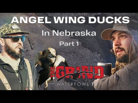 Видео: Утки с ангельскими крыльями в Небраске, часть 1 | The Grind S13:E8