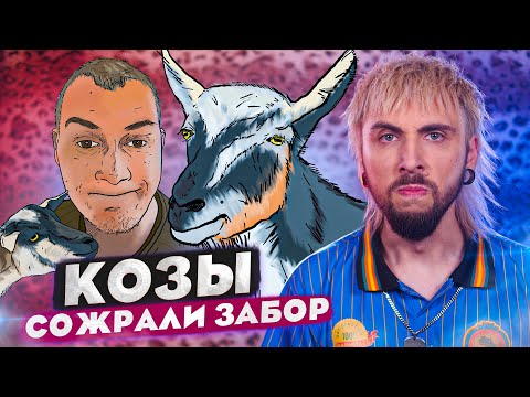 Видео: +100500 - КОЗЫ СОЖРАЛИ ЗАБОР