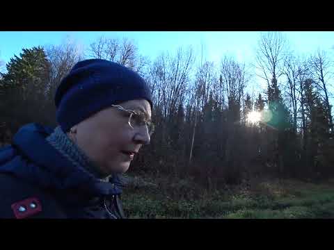 Видео: В осеннем лесу, прогулка и даже набрали грибов, Пермь, 22 окт 2025