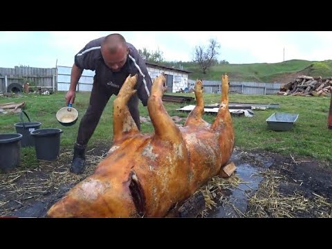 Видео: Кабан 160кг,цены на мясо, и сало.что по чем?быстрый забой