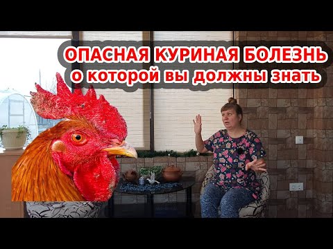 Видео: Болезни кур: оспа у кур