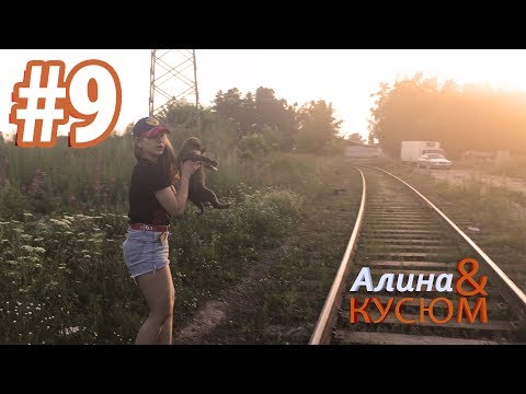 Видео: Избавились от агрессивных собак во дворе