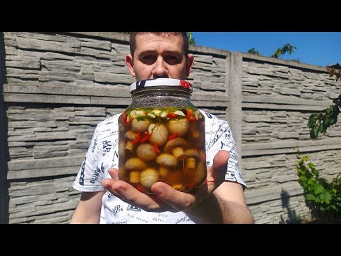 Видео: Быстрые маринованные шампиньоны, мировая ЗАКУСКА на любой стол.