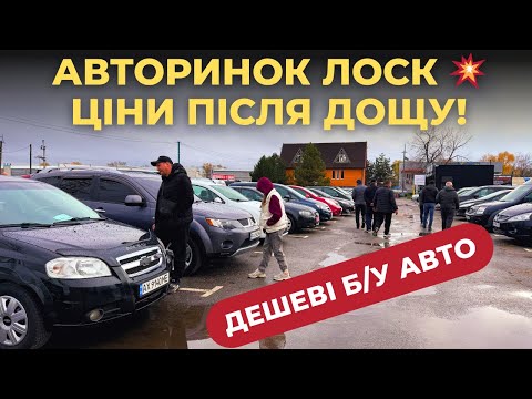 Видео: АВТОРИНОК ЛОСК ХАРКІВ 🚗 ЦІНИ ПІСЛЯ ДОЩУ 🔥 #автобазар