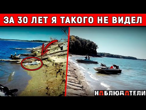 Видео: У меня до сих пор мурашки по коже, когда я об этом вспоминаю. Так описал это дело детектив.