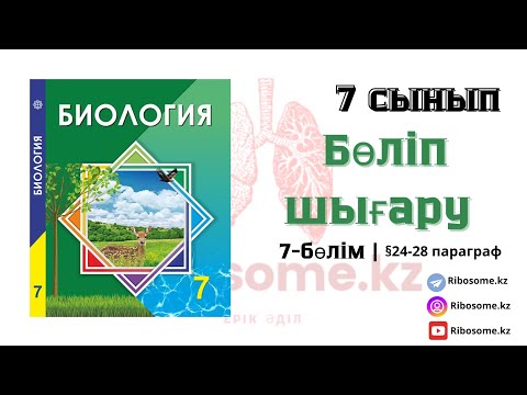Видео: 7-сынып Бөліп шығару §24-28 тақырып 7-бөлім / Ribosome.kz / Ерік Әділ