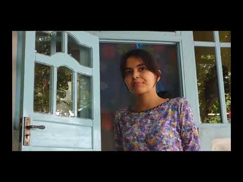 Видео: Сиганҳои Дӯстӣ чаро наметалбанд!?