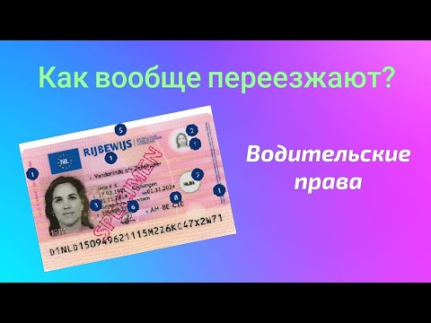 Видео: Как вообще переезжают - 8. Водительские права.