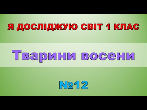 Видео: Тварини восени. Я досліджую світ 1 клас - №12