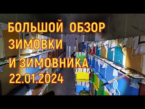 Видео: Дозимуем ли до выставки? Большой осмотр зимовки и зимовника.