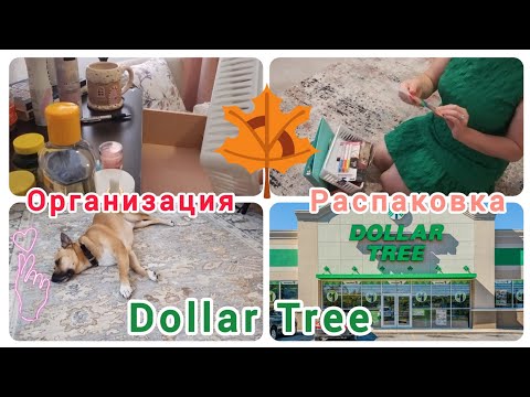 Видео: Уютный осенний вечер / Обзор покупок / Организация камода / Dollar Tree 🇺🇸❤