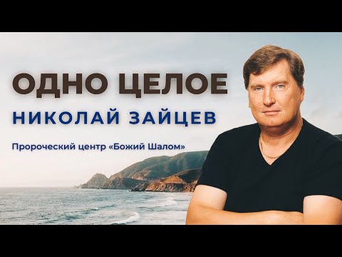 Видео: ОДНО ЦЕЛОЕ / НИКОЛАЙ ЗАЙЦЕВ