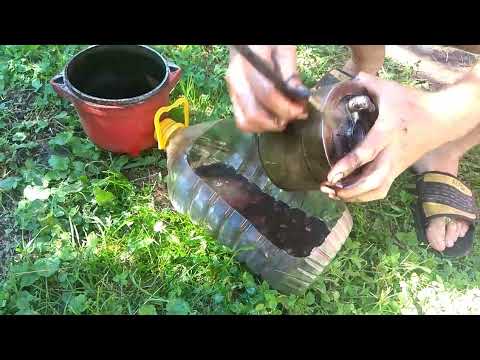 Видео: Замена масла в двигателе трактора ЮМЗ