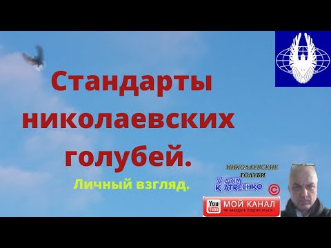Видео: Стандарты николаевских голубей. Личный взгляд.