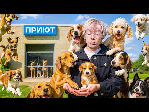 Видео: Я ПРОВЕРЯЛ КАРМУ 7 ДНЕЙ (или делал добрые дела)