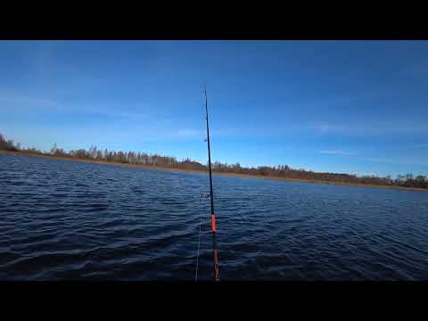 Видео: Ловля щуки и окуня .Рыбалка на спиннинг. В поисках рыбацкого счастья.