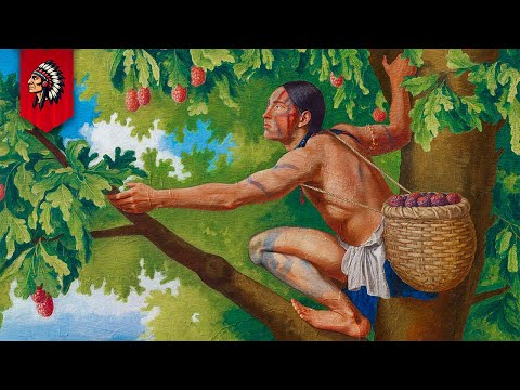 Видео: 15 запрещенных фруктов коренных американцев (которые до сих пор растут)