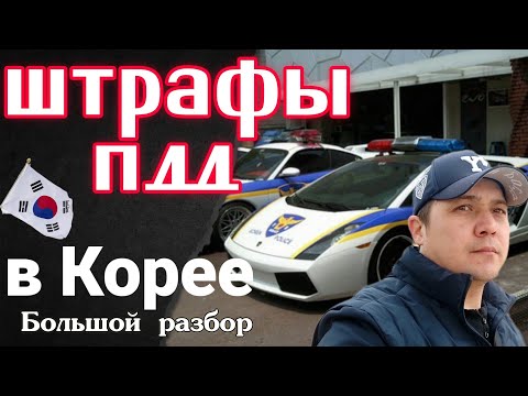 Видео: ❗Нарушение и штрафы ПДД в Ю. Корее || Разбор штрафов