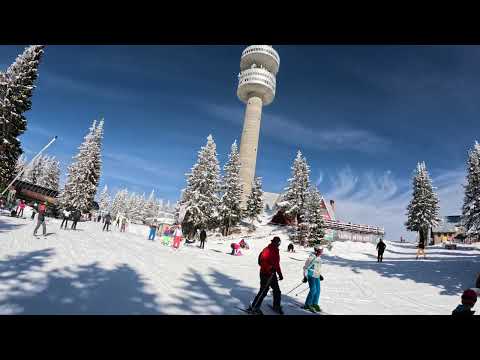 Видео: Пампорово: Към "Малина" през Малката (женската) стена / 22.02.2025 / 4К